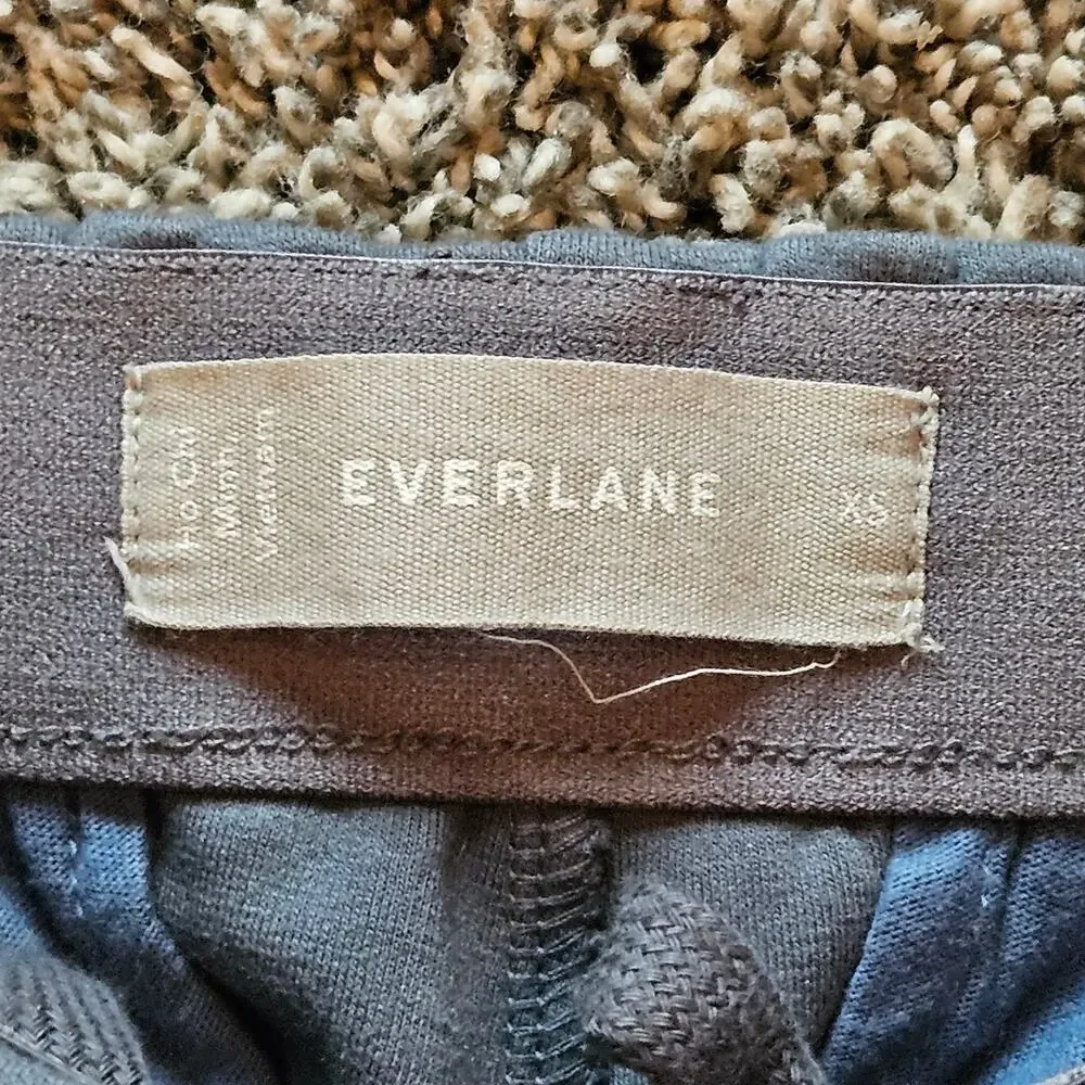Everlane Dream Pant Womens Size XS Elastic Waist Double Knit Pintuck Tapered Leg